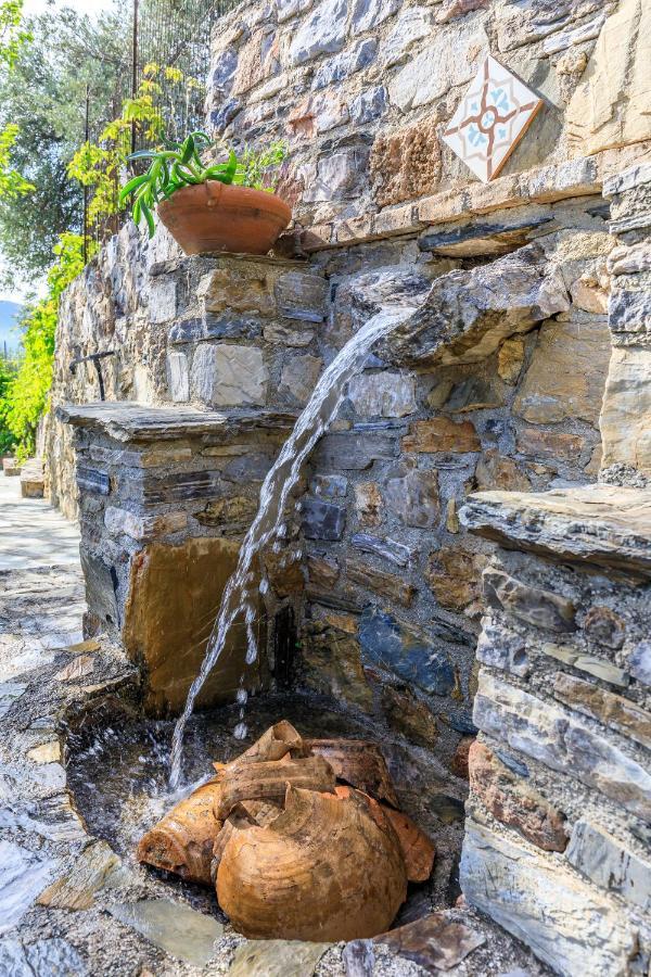 Villa Agia Marina Skopelos Town Ngoại thất bức ảnh